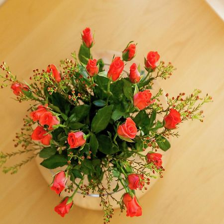 Quaint Apartment In Oostkapelle Zealand With Terrace 외부 사진